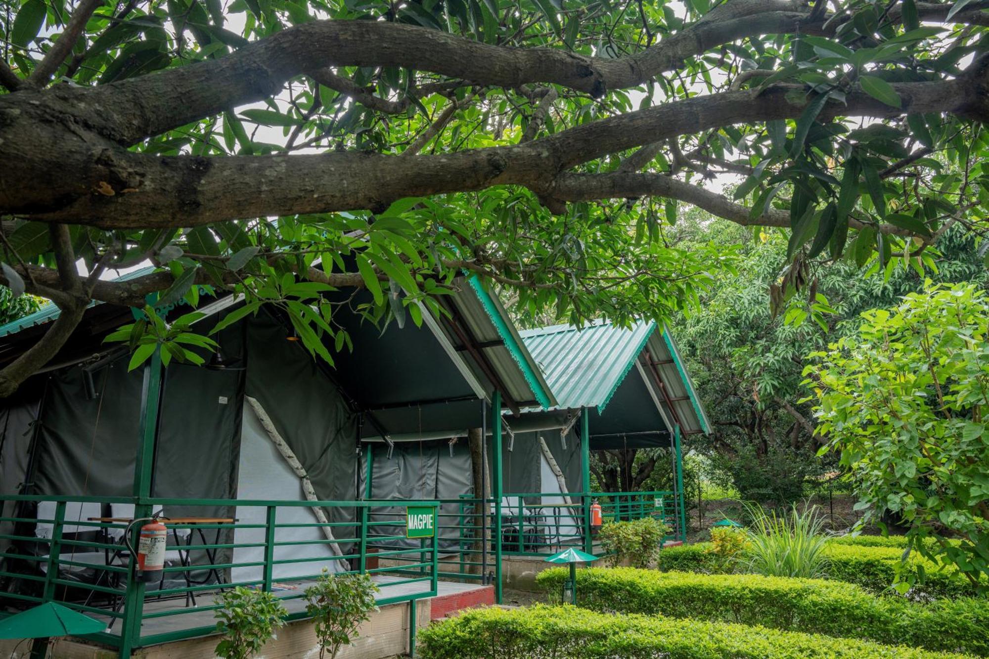 Corbett Nature Retreat Ramnagar  Ngoại thất bức ảnh